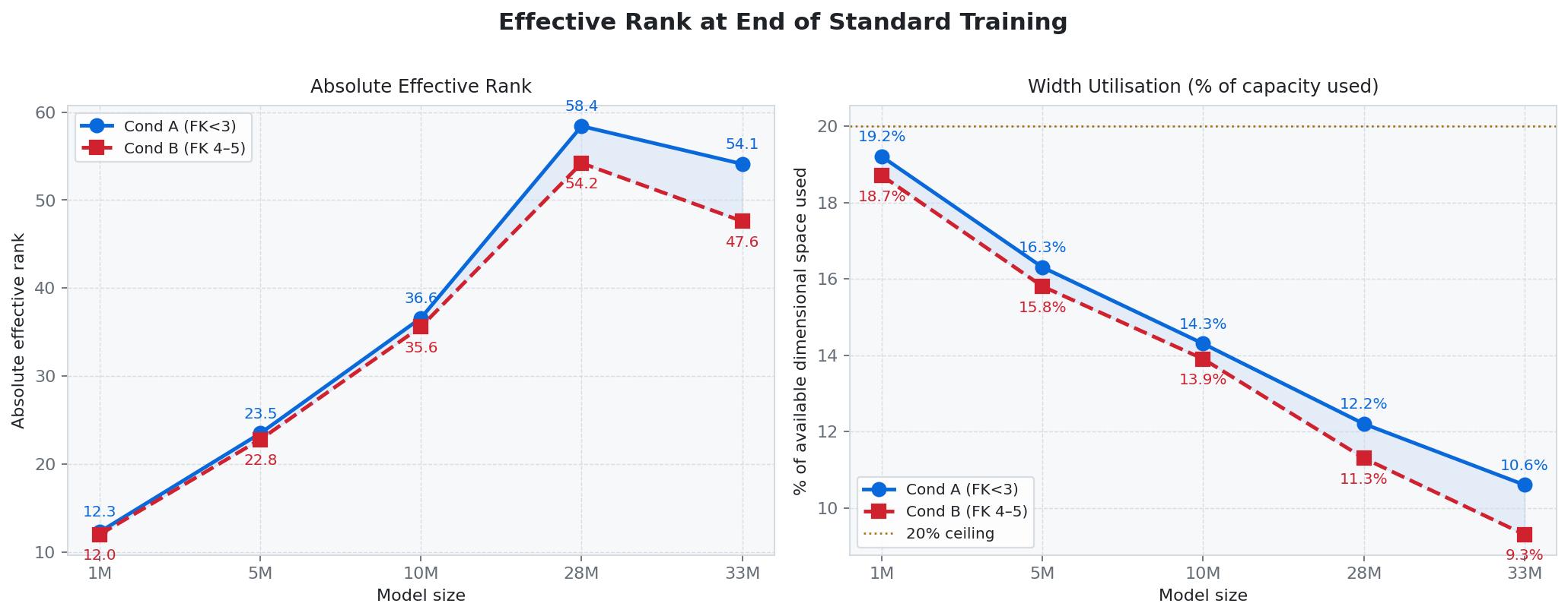 Effective rank and width utilisation at end of standard training