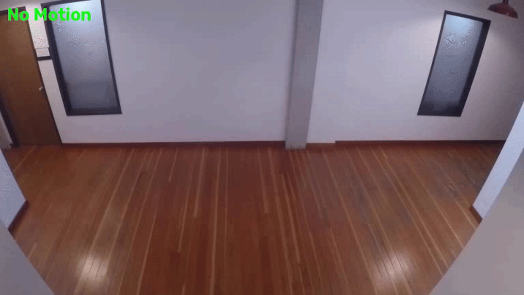 DLStreamer expected output