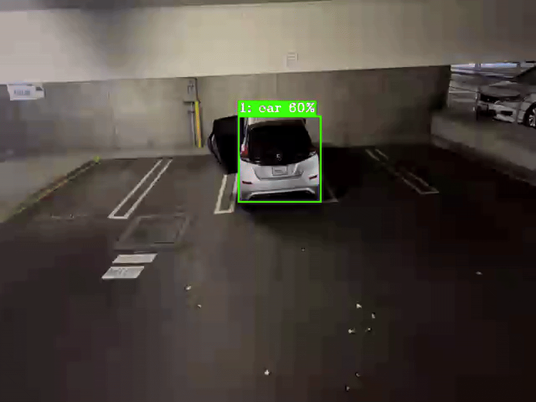 DLStreamer expected output