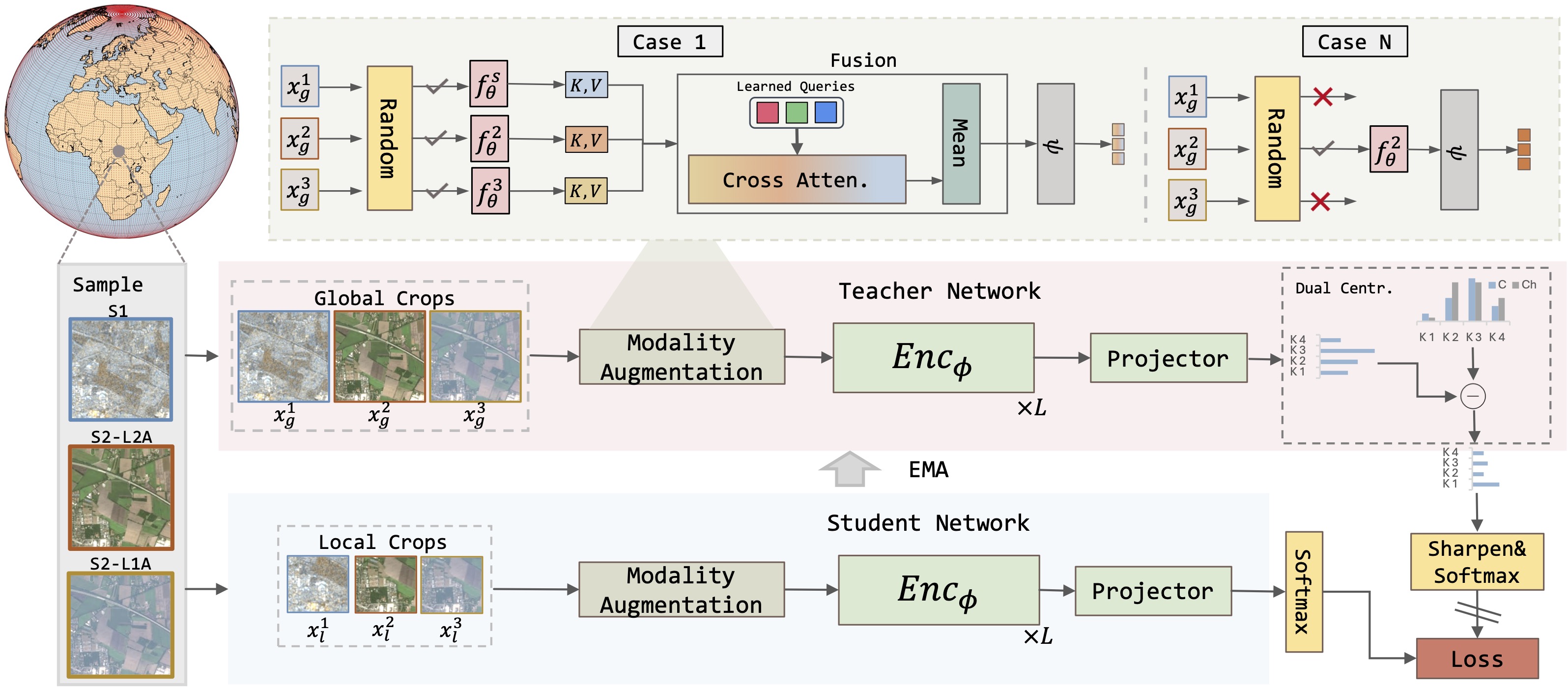 TerraFM Architecture