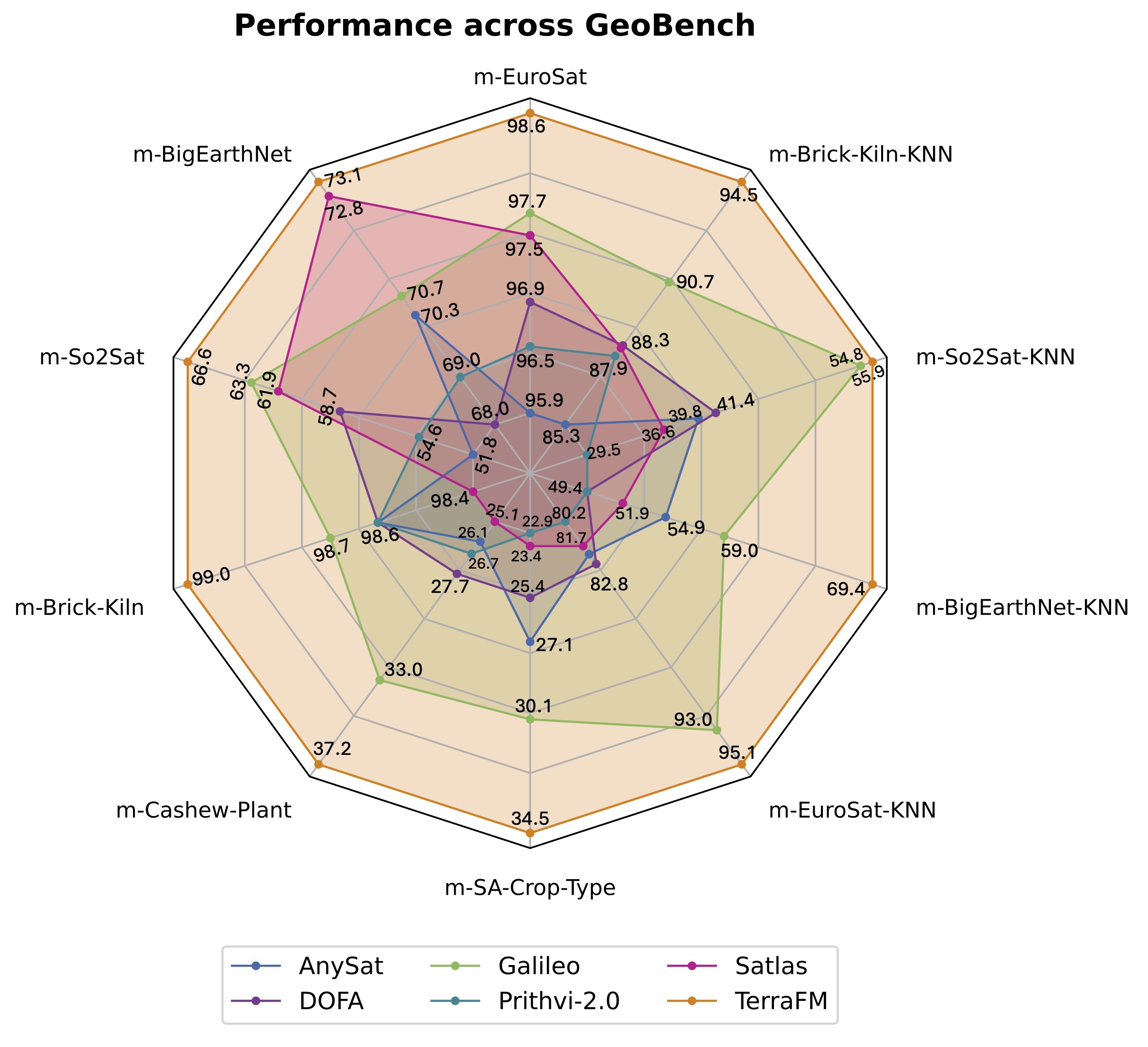 TerraFM Architecture