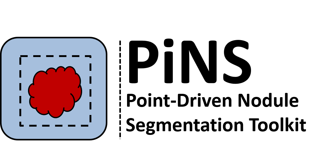 PiNS Logo
