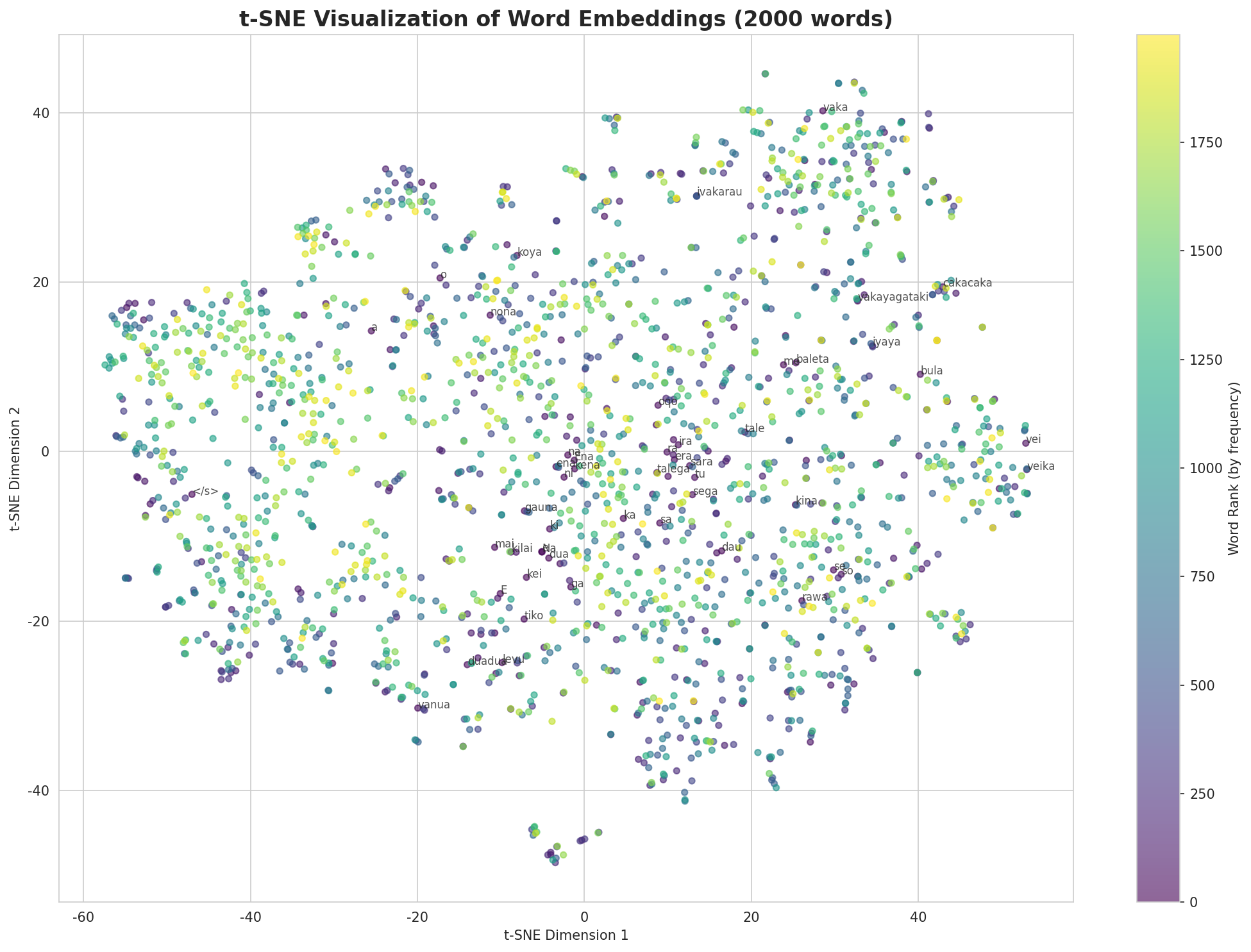 t-SNE Words