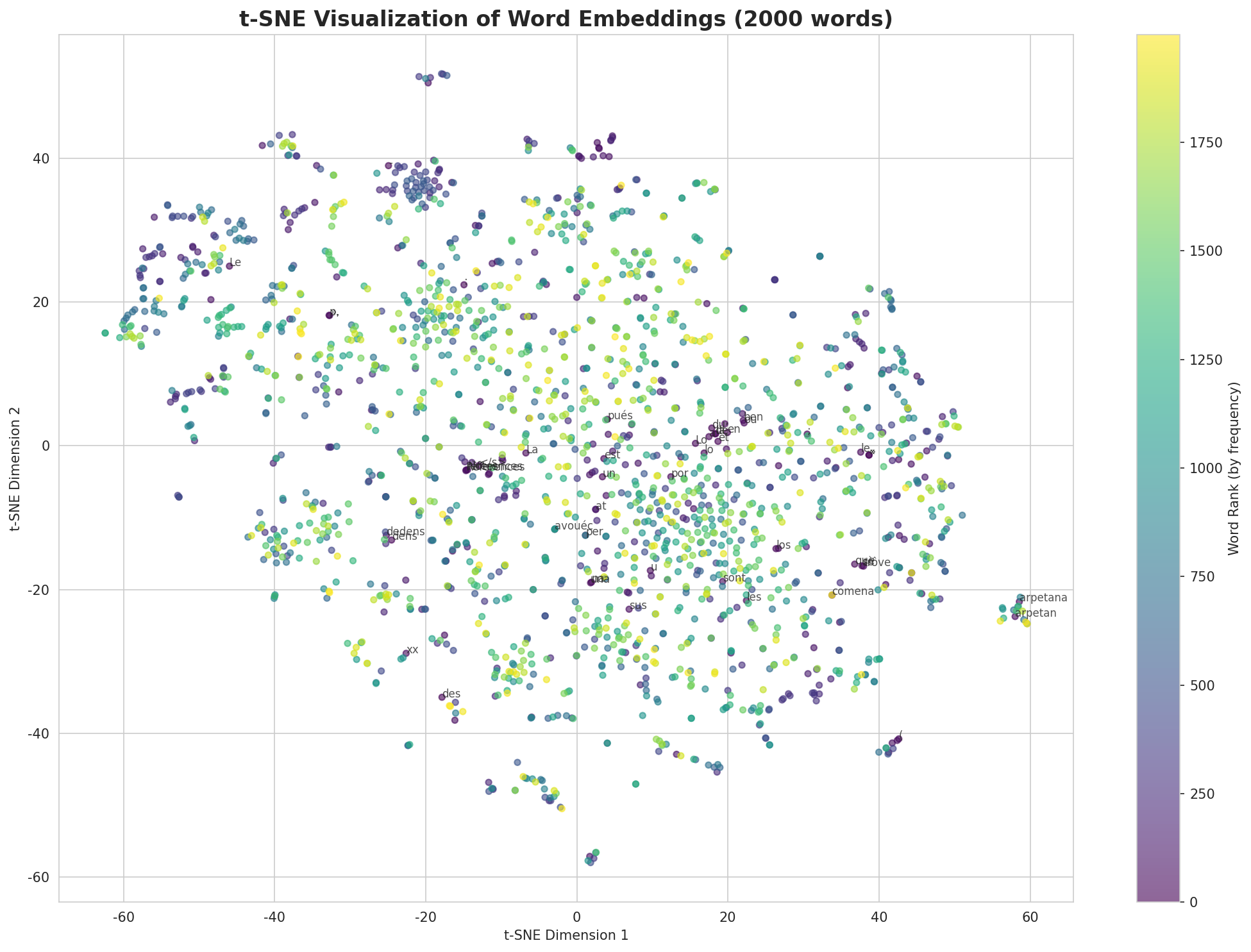 t-SNE Words