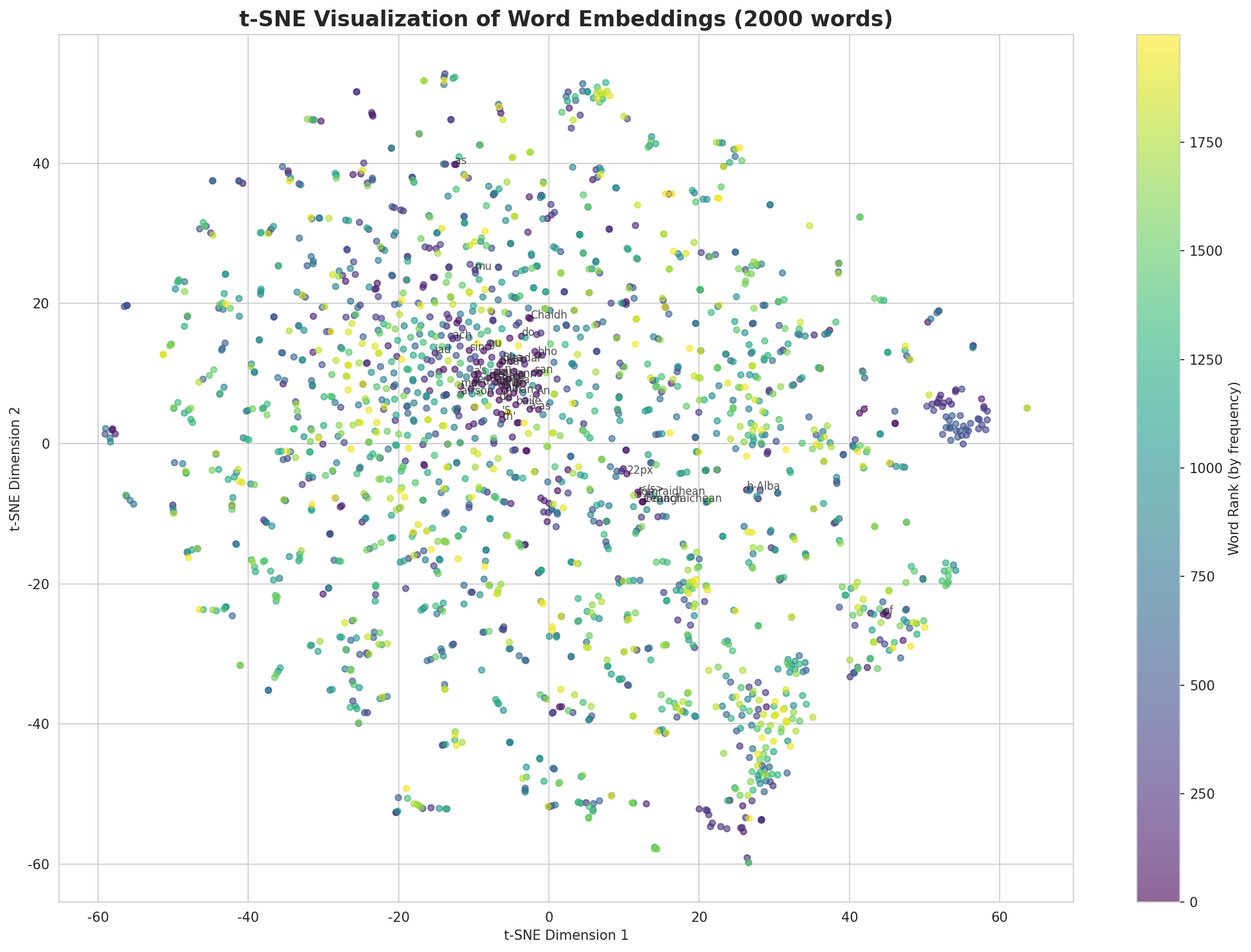 t-SNE Words